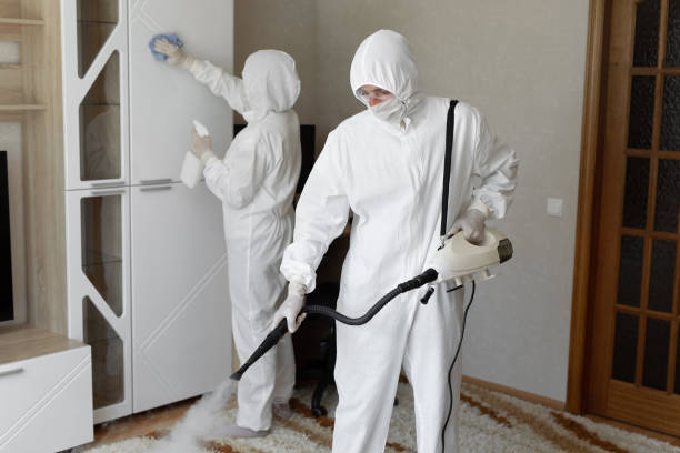 Langley, WA Mold Remediation Company