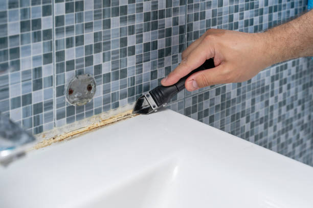 Best Health and Safety Mold Remediation in Langley, WA
