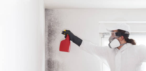 Langley, WA Mold Remediation Company