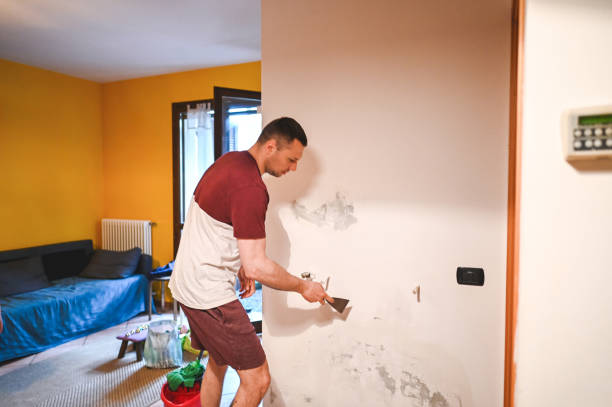 Best HVAC Mold Remediation in Langley, WA